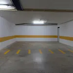 Fou De Foz Foz do Arelho